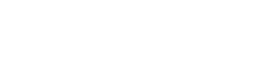 Car Bizz Motors